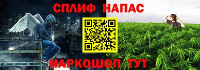 сатива Кулебаки