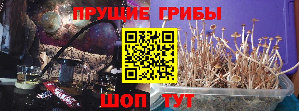 Псилоцибиновые грибы GOLDEN TEACHER Нижнекамск