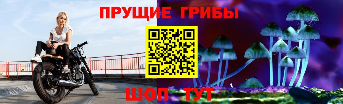 Нижнекамск  Псилоцибиновые грибы ЛСД  Вход с VPN 